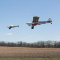 AVION CUBCRAFTERS XCUB 60CC ARF