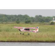 Avion Entrenador CANARY GP/EP 46-55 1/6